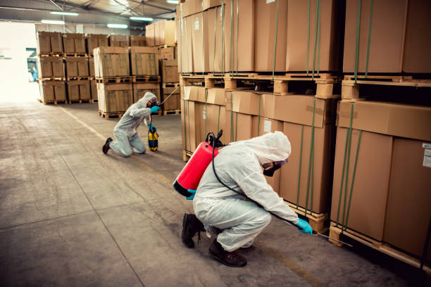 Best Pest Control Near Me  in Atherton, CA