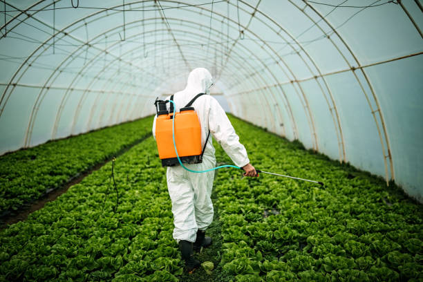 Reliable Atherton, CA Pest Control Solutions