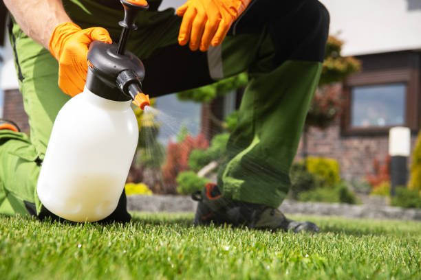 Reliable Atherton, CA Pest Control Solutions