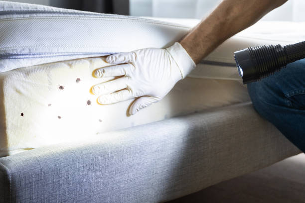 Best Exterminator Services  in Atherton, CA