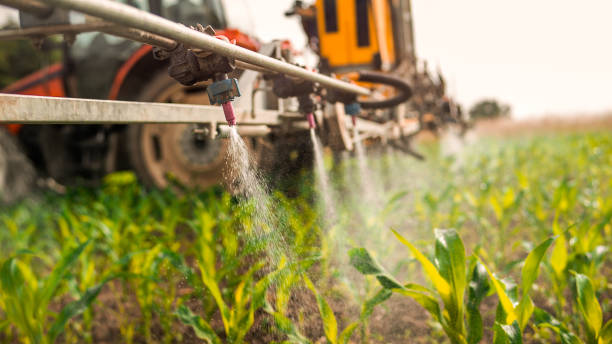 Best Mosquito Control Services  in Atherton, CA